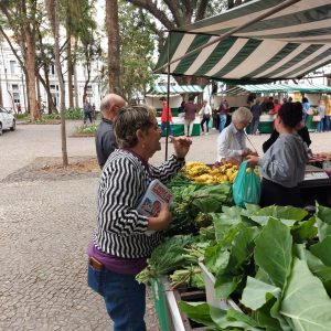 Núcleo Dos Aposentados Panfletagem 4