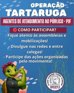 Operação tartaruga 10