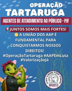 Operação tartaruga 11