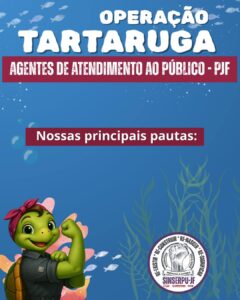 Operação tartaruga 4