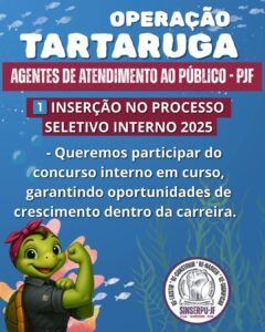 Operação tartaruga 5