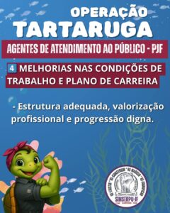 Operação tartaruga 8