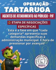 Operação tartaruga 9
