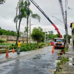 WhatsApp Image 2026 04 10 at 10.13.59