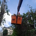 WhatsApp Image 2026 04 10 at 11.34.57