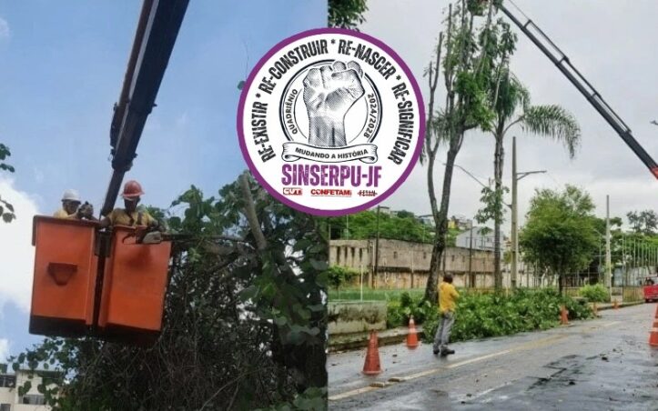 WhatsApp Image 2026 04 10 at 12.02.23